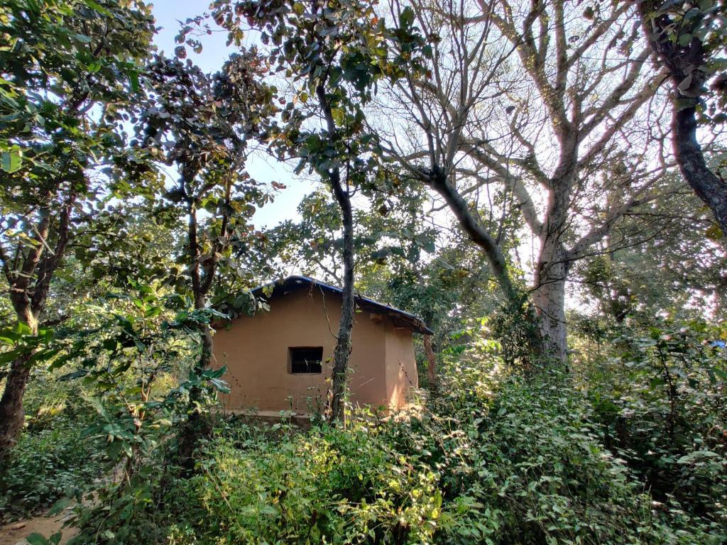 Surwahi Social Ecoestate Kanha