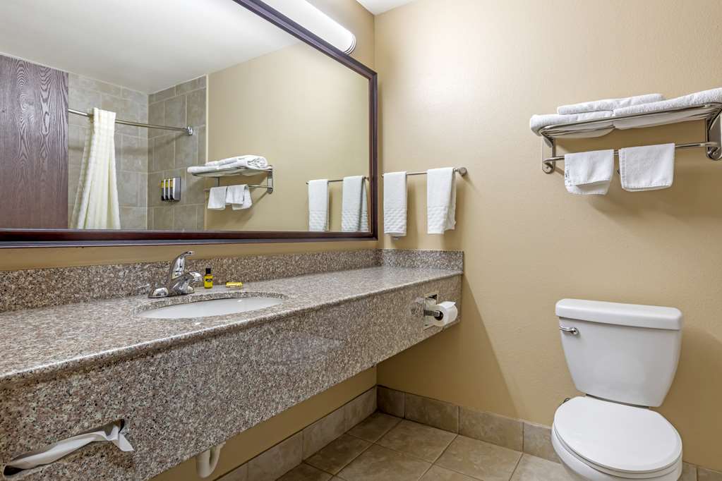 Best Western Plus Burleson Inn & Suites - photo 19