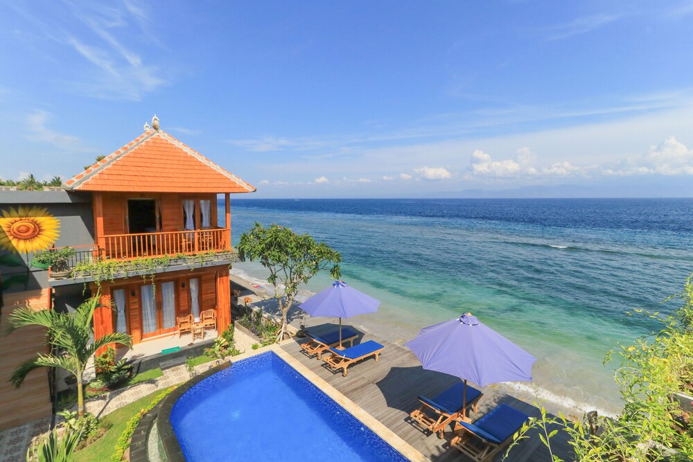 Tentacle Bali