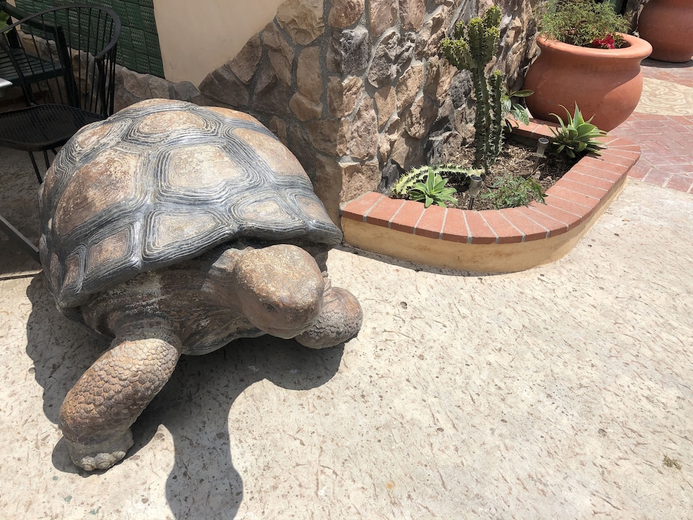 Casa Del Sol - photo 91