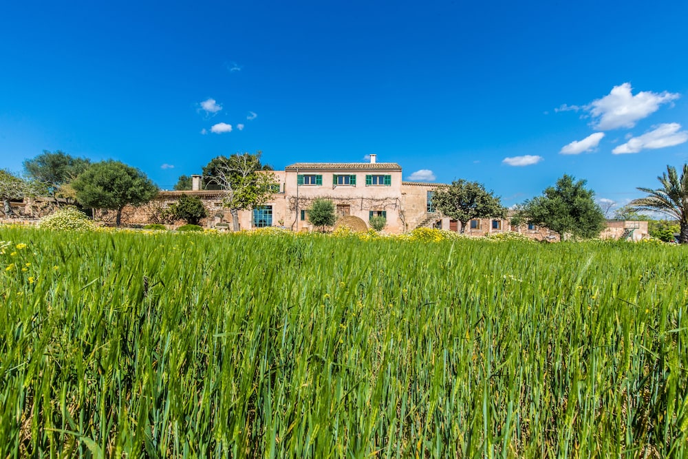 Finca Agroturismo Sa Cova den Borino — hotel in Llucmajor