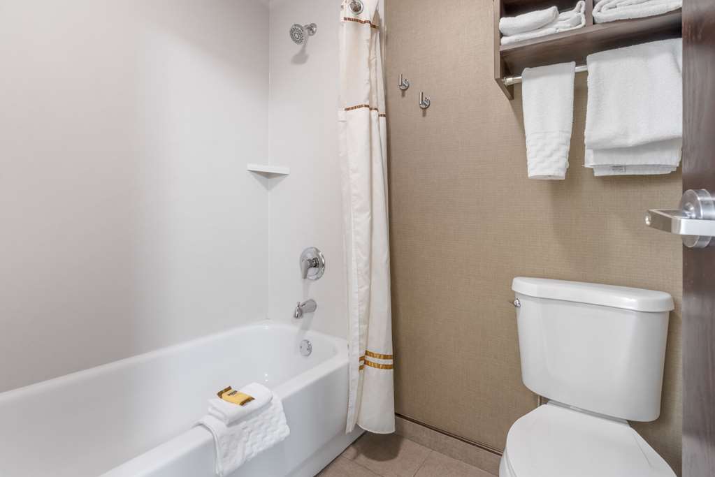 Best Western Plus Ramkota Hotel - photo 29