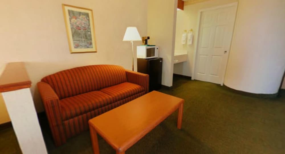Syracuse Inn & Suites - photo 22