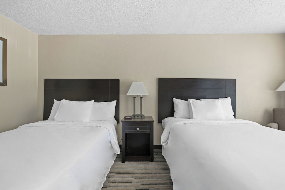 Hotel Francis - photo 7