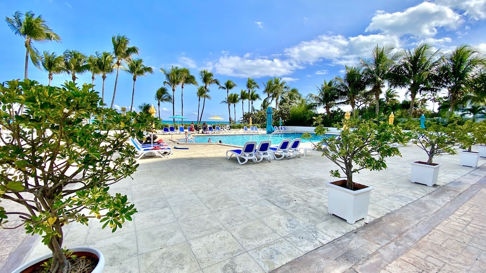 Seacoast by Miami Ambassadors - photo 2