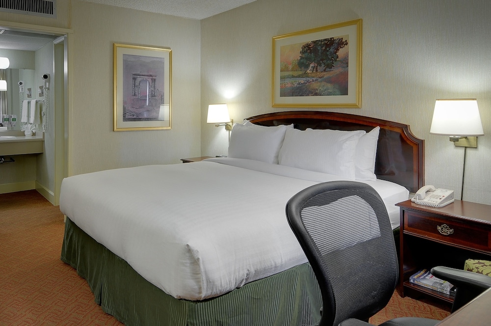 Vagabond Inn Executive San Francisco Airport - photo 5