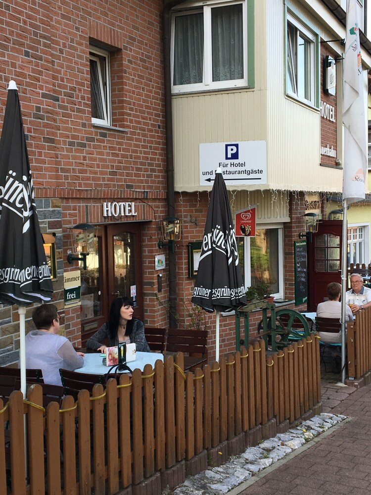 Hotel Auerhahn — Bad Suderode — photo 3