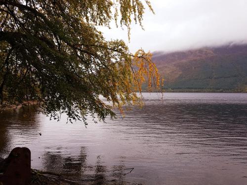 Invergloy Riverside Lodges — Highland — photo 2