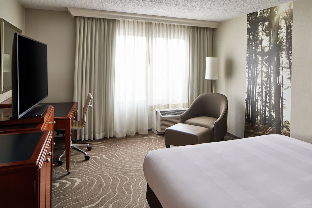 Detroit Metro Airport Marriott - photo 21