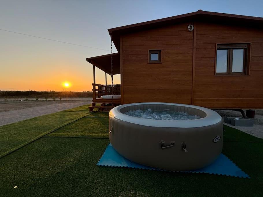 Grape Escape in Palmela, Portugal