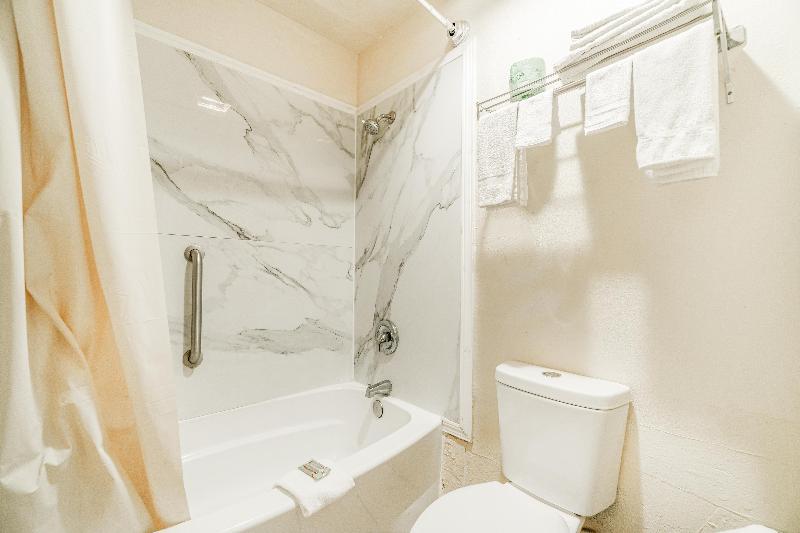 Executive Inn Port Lavaca by OYO - photo 41