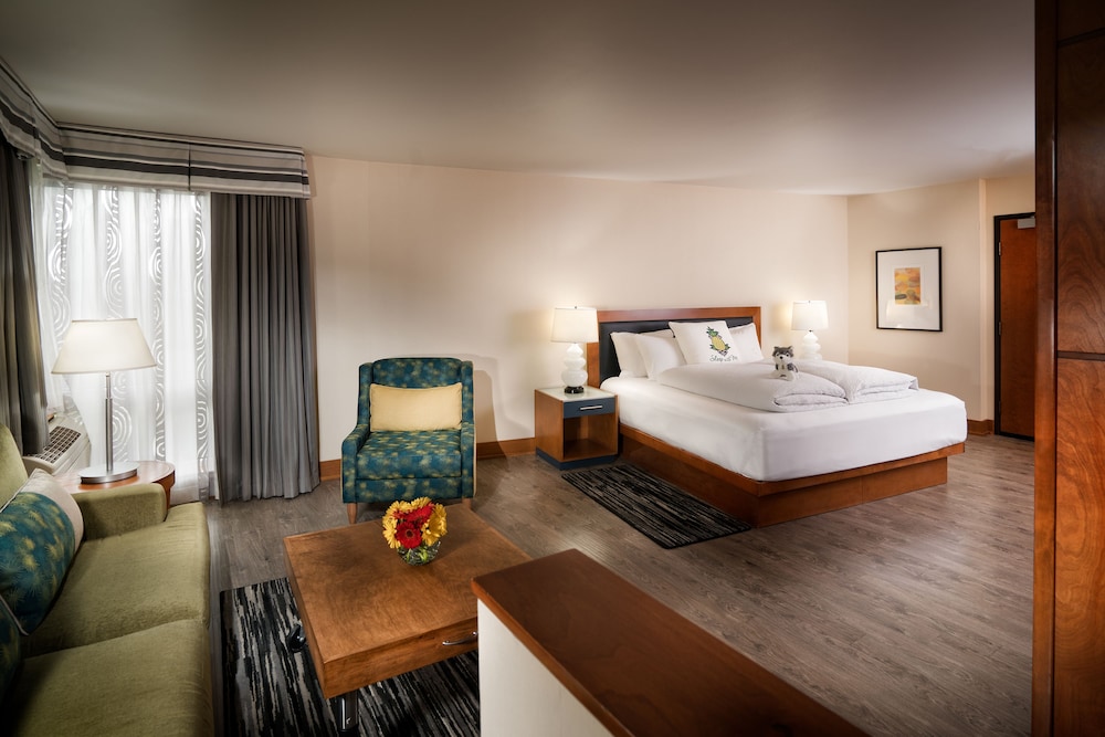 Staypineapple Watertown Hotel University District Seattle - photo 10