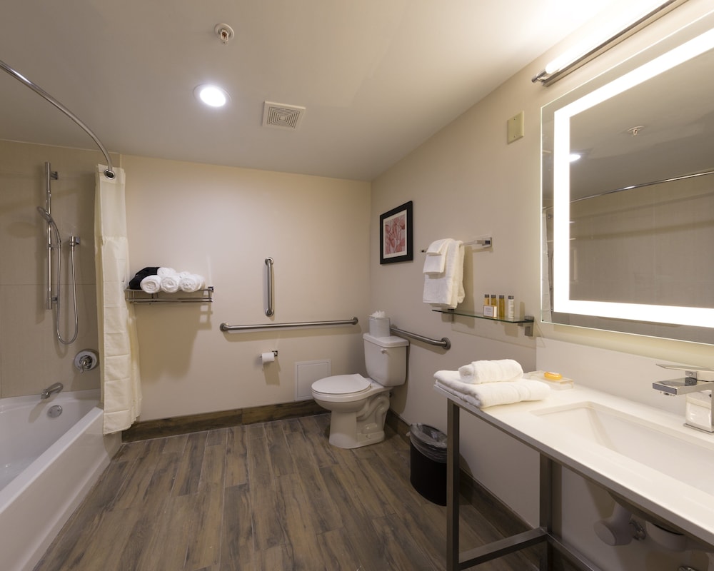 Holiday Inn Brookfield Milwaukee by IHG - photo 29