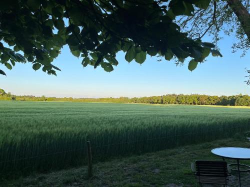 Doevelsteeg Ommen