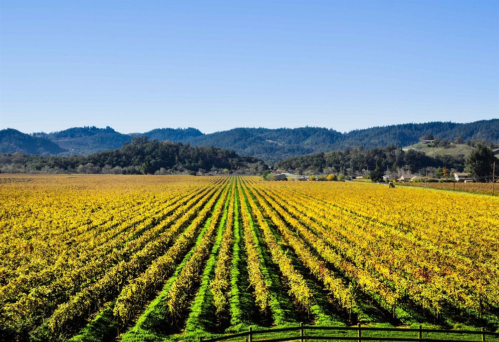 Auberge on the Vineyard — 4-Star Luxury Hotel in Cloverdale, United States