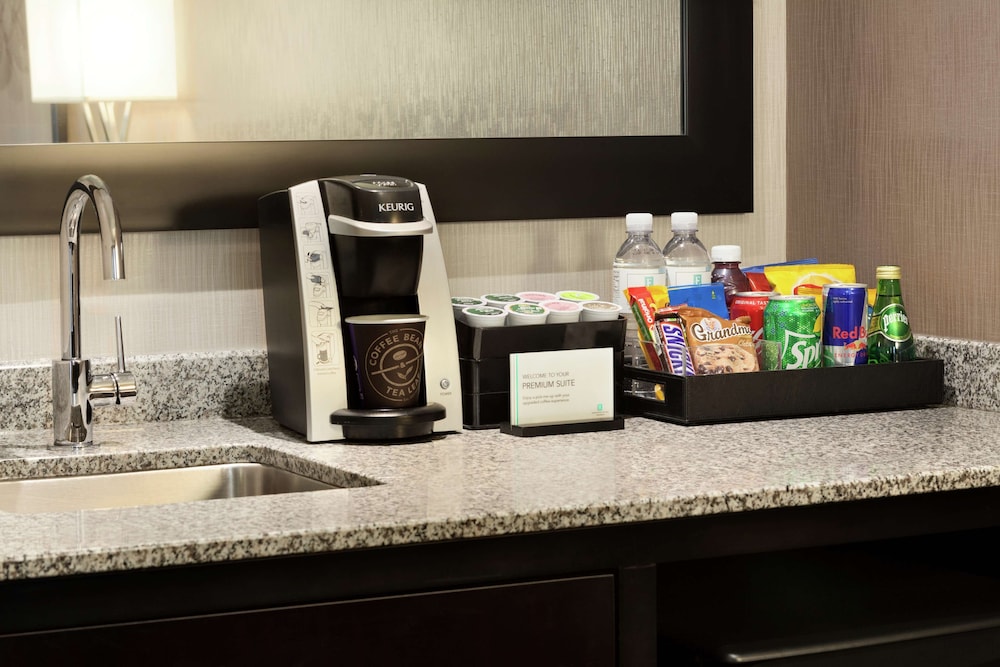 Embassy Suites by Hilton Atlanta Alpharetta - photo 13