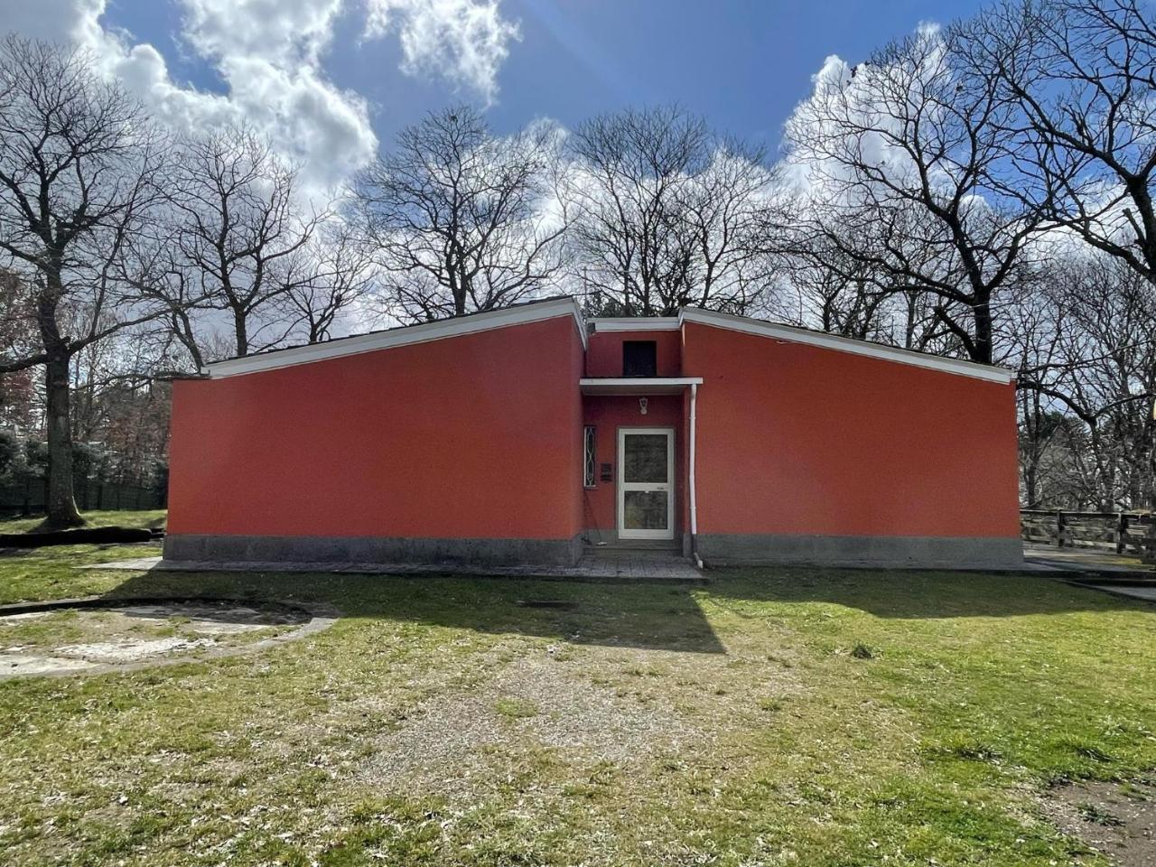 La Tana di Tony in Viterbo, Italy