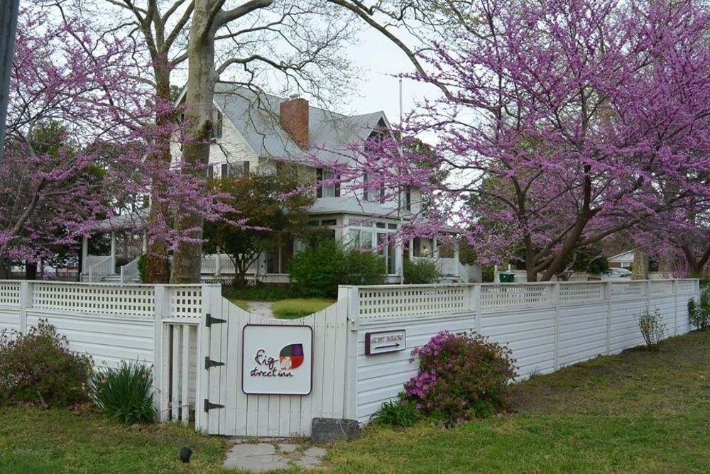 Fig Street Inn — Cape Charles — photo 2