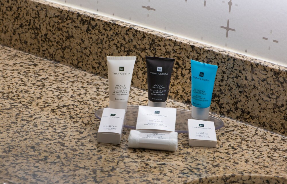 Delta Hotels by Marriott Detroit Novi - photo 13