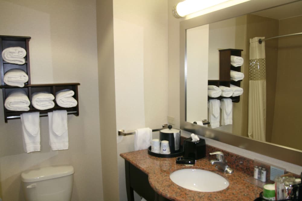 Hampton Inn & Suites New Iberia Avery Island - photo 45