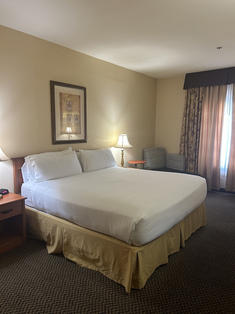 Holiday Inn Express Las Vegas Nellis by IHG - photo 11