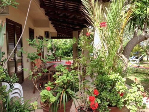 Charming House with Pool — Parghelia — photo 3
