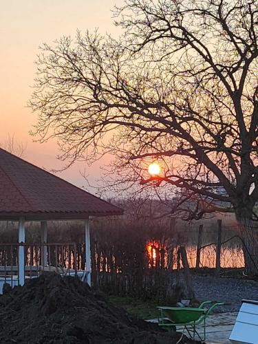 Boletov raj lux in Vrbas, Serbia