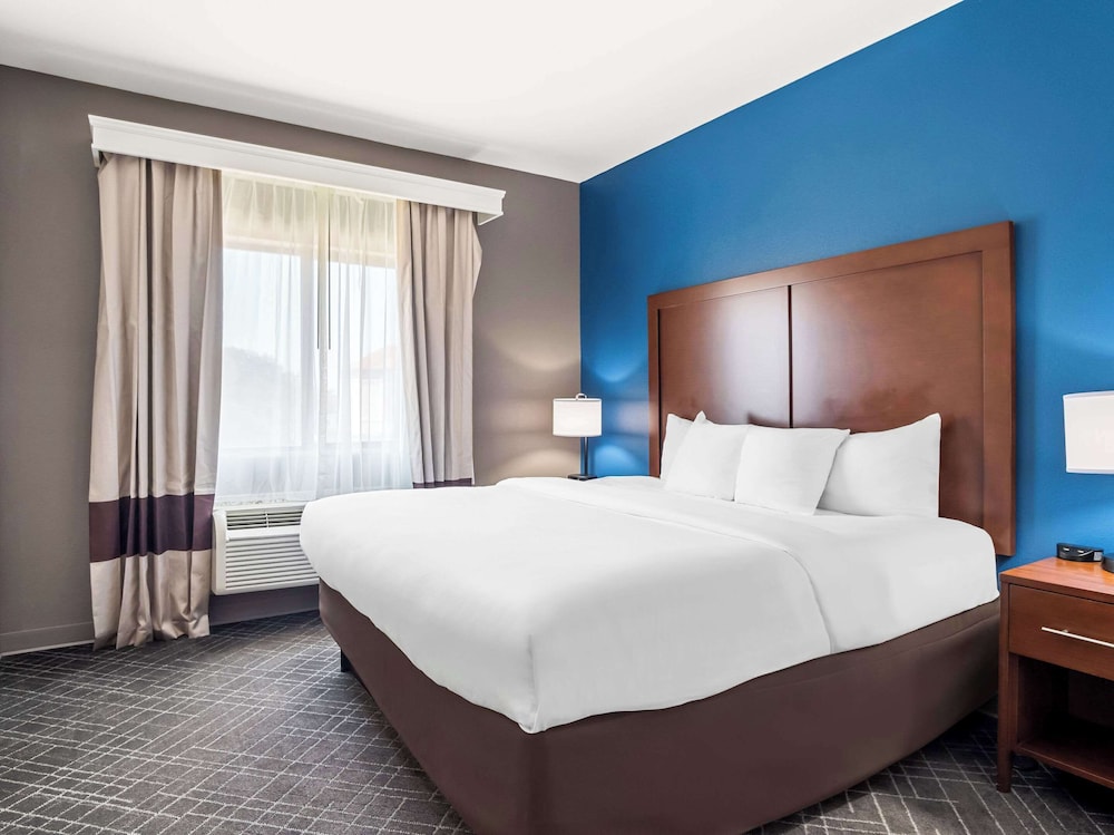 Comfort Suites Lindale Tyler North - photo 16