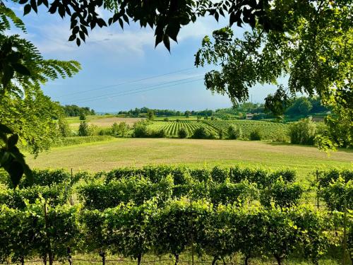Residenza Le Vigne — 4-Star Luxury Hotel in Pozzolengo, Italy
