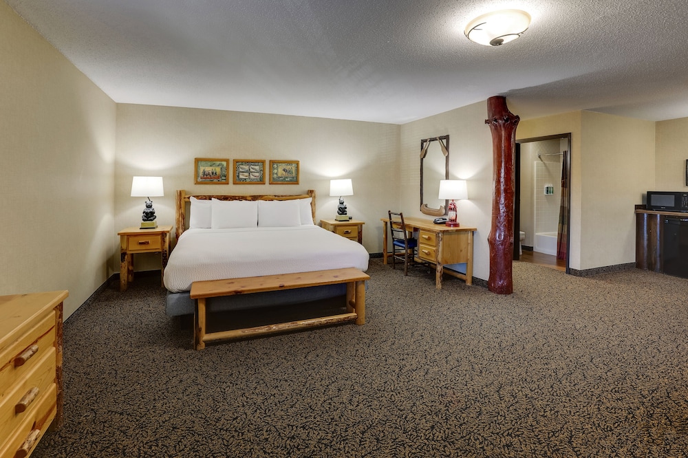 Stoney Creek Hotel Quad Cities Moline - photo 14