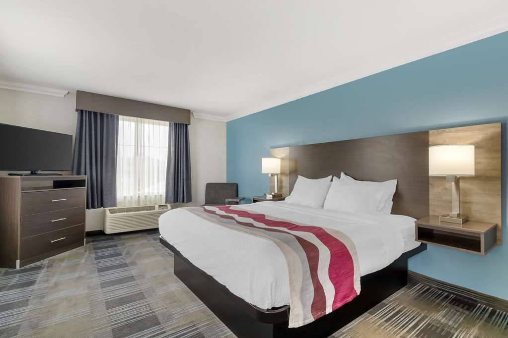Best Western Medical Center North Inn & Suites Near Six Flags - photo 31