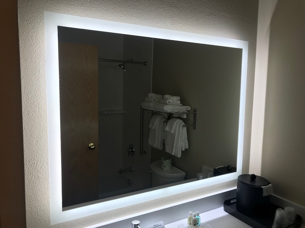 Holiday Inn Clarkston Lewiston by IHG - photo 27