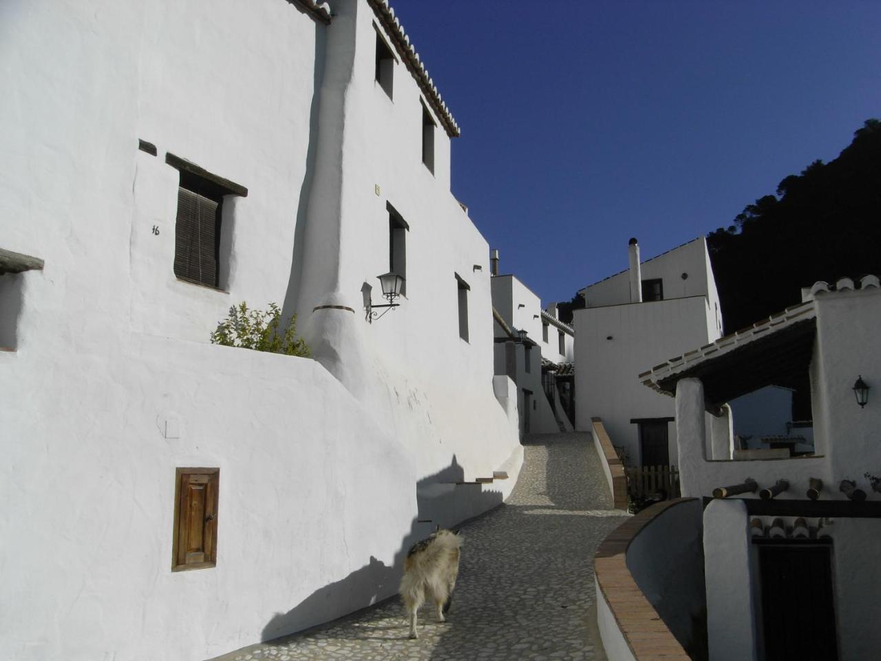 Angustias — Torrox — photo 3