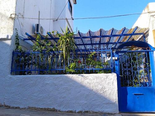 The Filopappou Hive — Athens