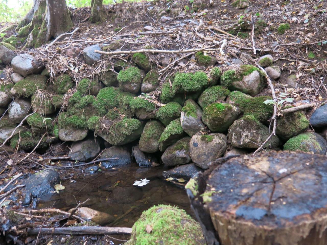 Östra Nyrups Lantliv — Hoeoer — photo 3