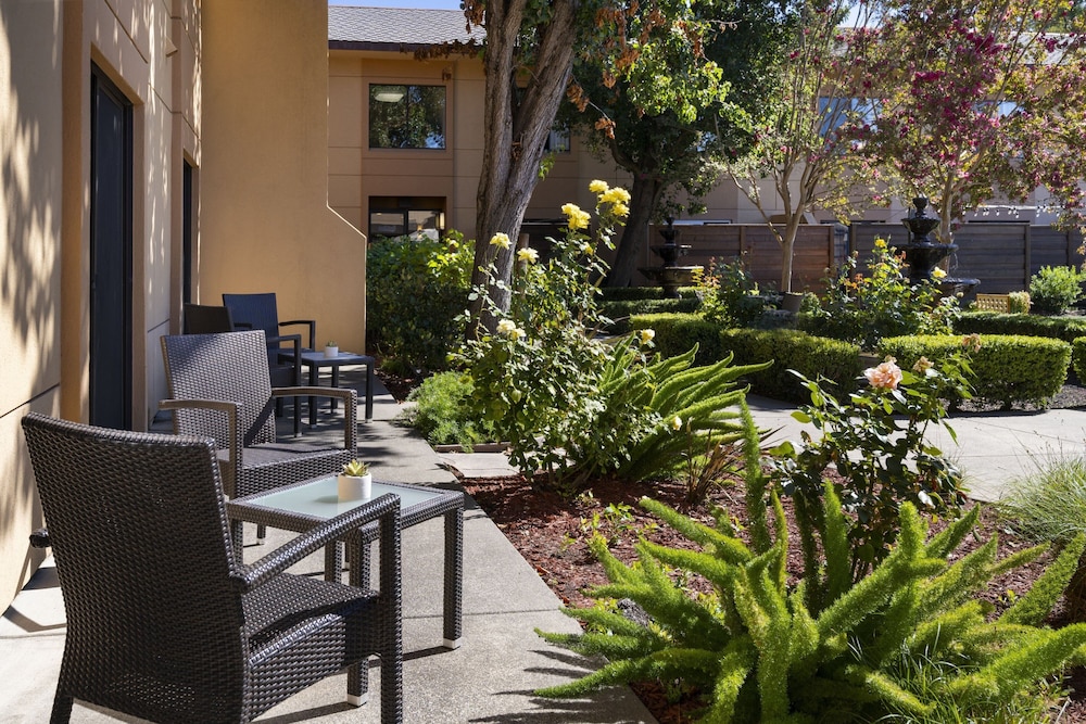 Napa Valley Marriott Hotel & Spa - photo 22