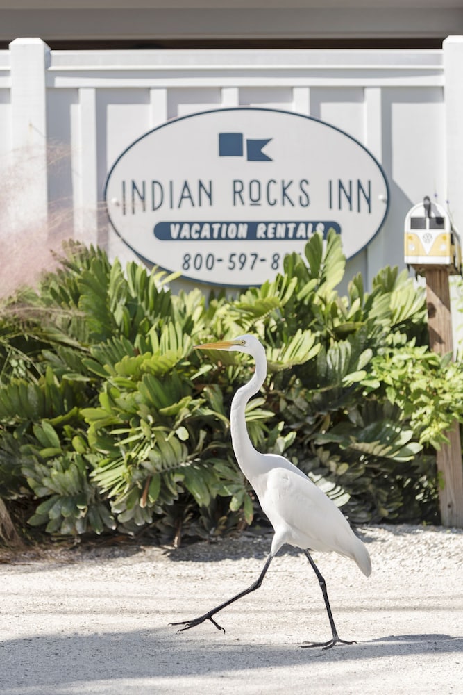 Gulfside Resorts & Indian Rocks Inn - photo 12