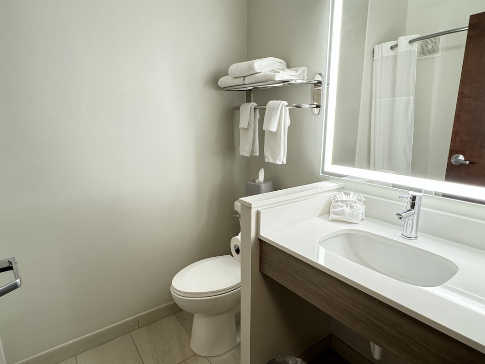 Holiday Inn Express Hotel & Suites St. Paul Woodbury by IHG - photo 49