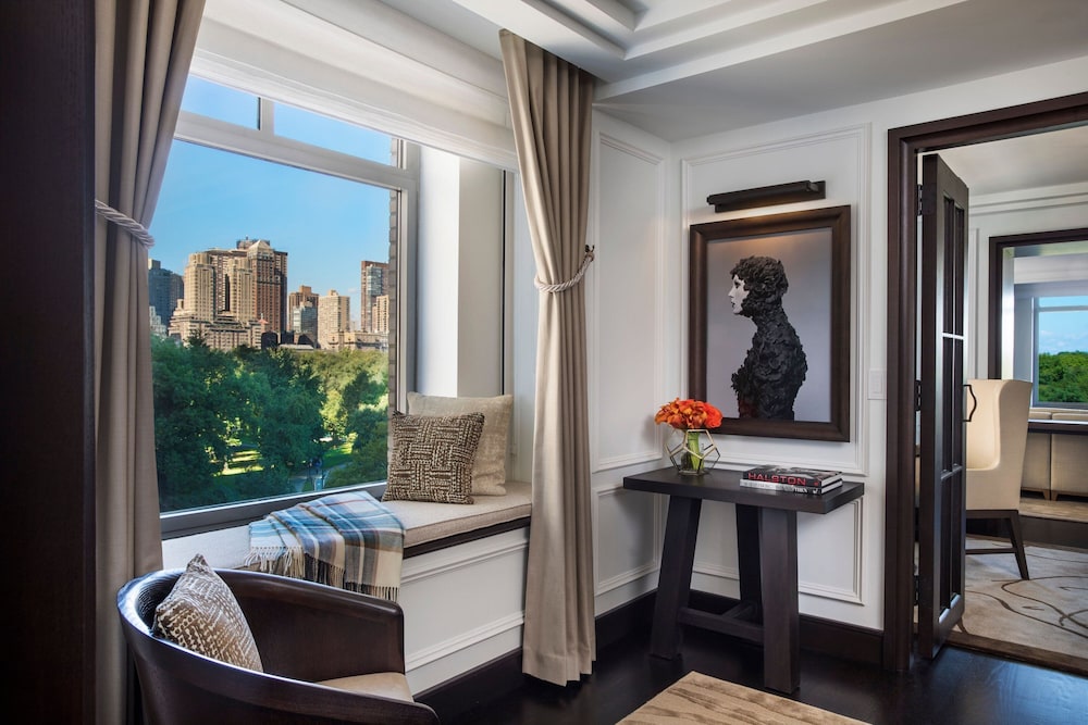 The Ritz Carlton New York Central Park - photo 52
