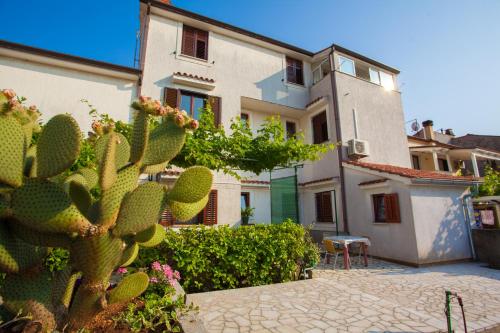 Rooms Ester — Cres — photo 2