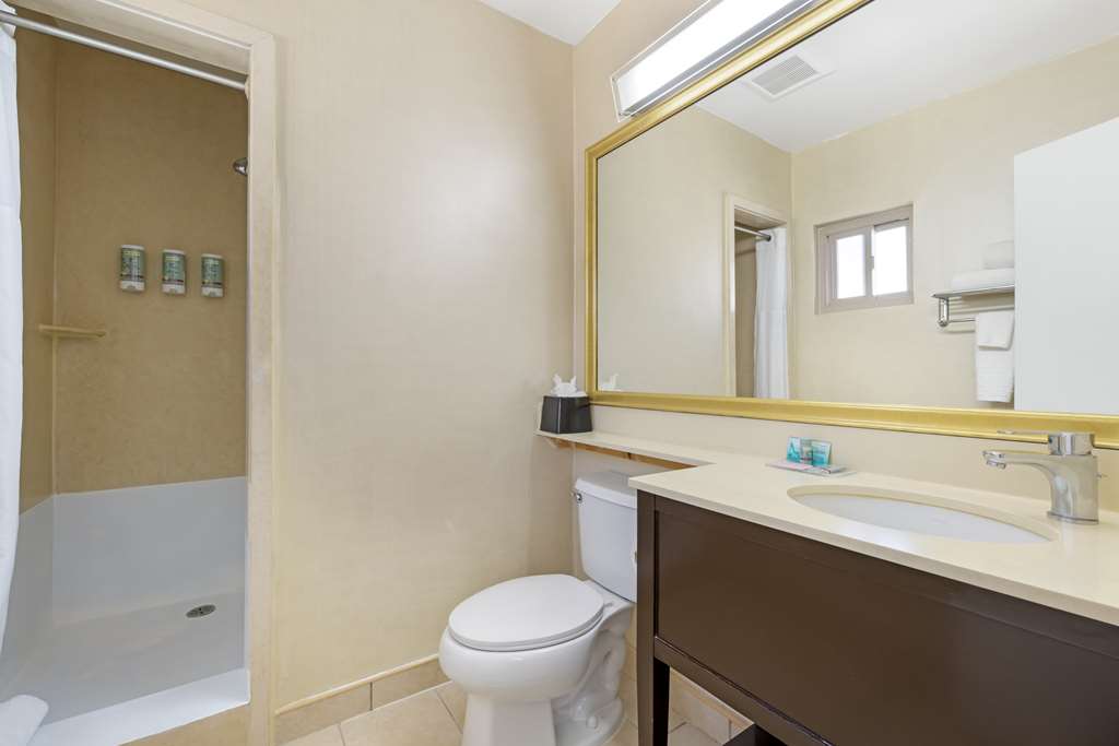 Best Western Royal Palace Inn & Suites - photo 26