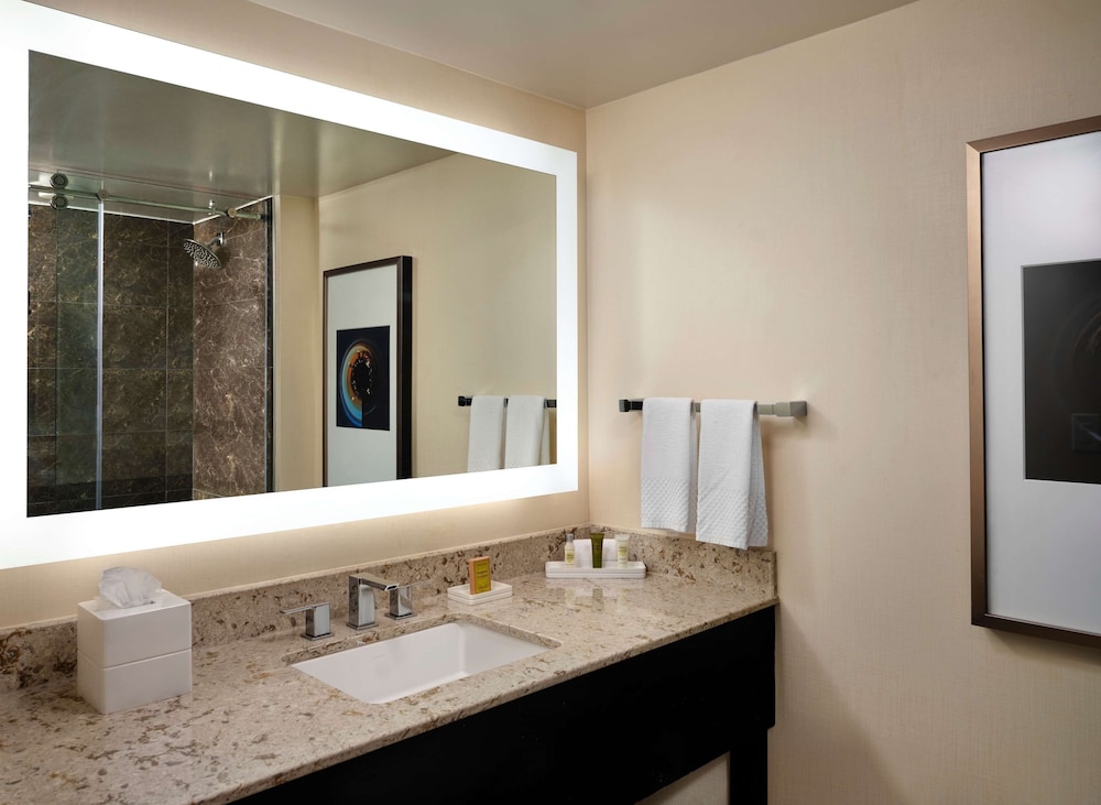 Hilton Atlanta Airport - photo 39