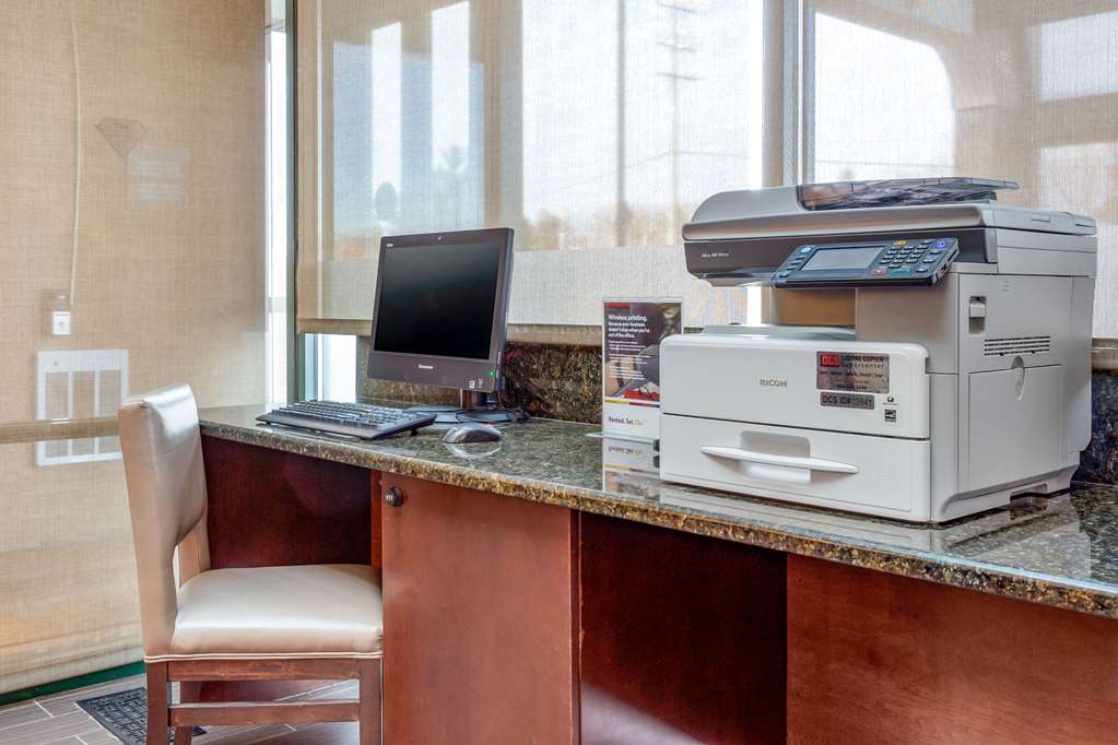 Comfort Suites Oakbrook Terrace near Oakbrook Center - photo 25