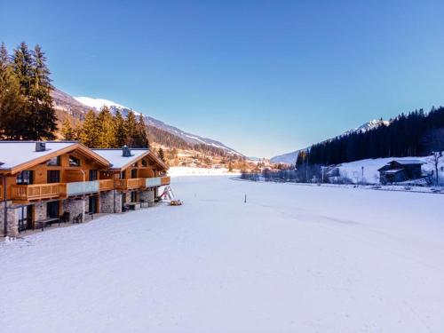 Felsener Wald in Wald Im Pinzgau, Austria
