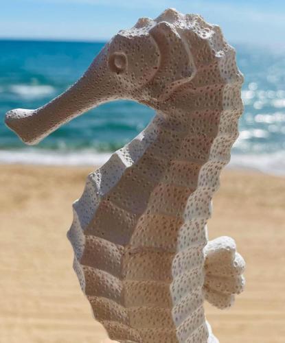 Caballito de Mar in Tavernes De La Valldigna, Spain