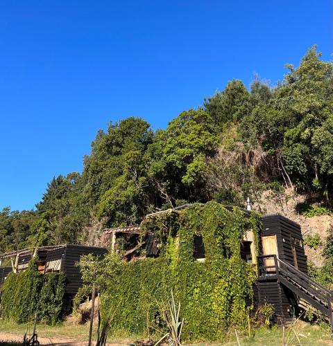 Reserva Los Bollenes in Constitucion, Chile