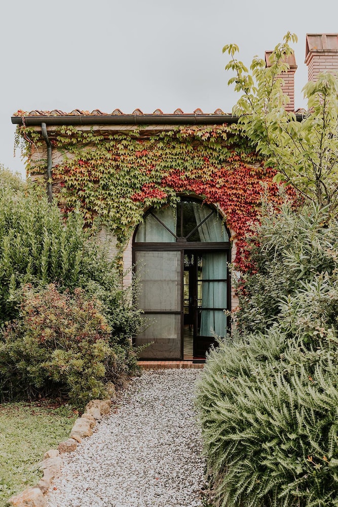 Ginestriccio — Bibbona — photo 3