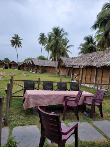 Coconut Tree Guest House — Hampi — photo 3