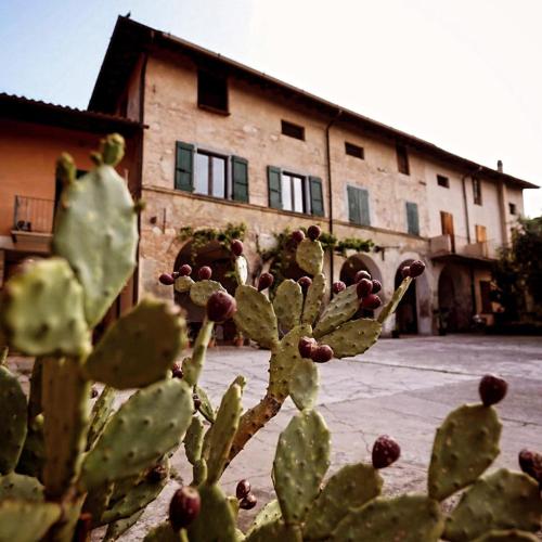 la Breda in Corte Franca, Italy