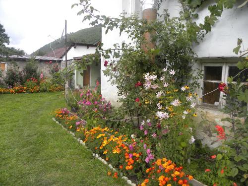 Jimsher Naveriani Guesthouse